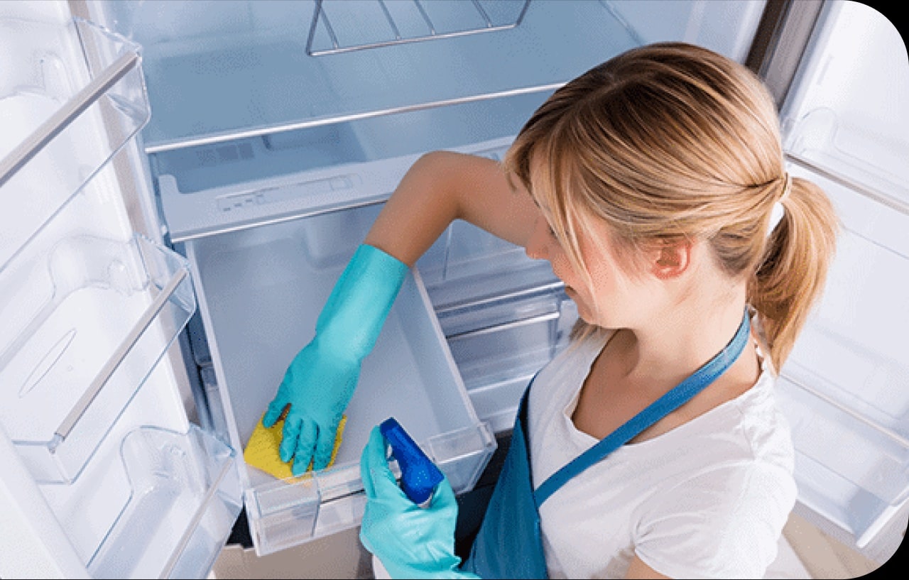 Lady cleaning a Fridge with Pluzs cleaning product